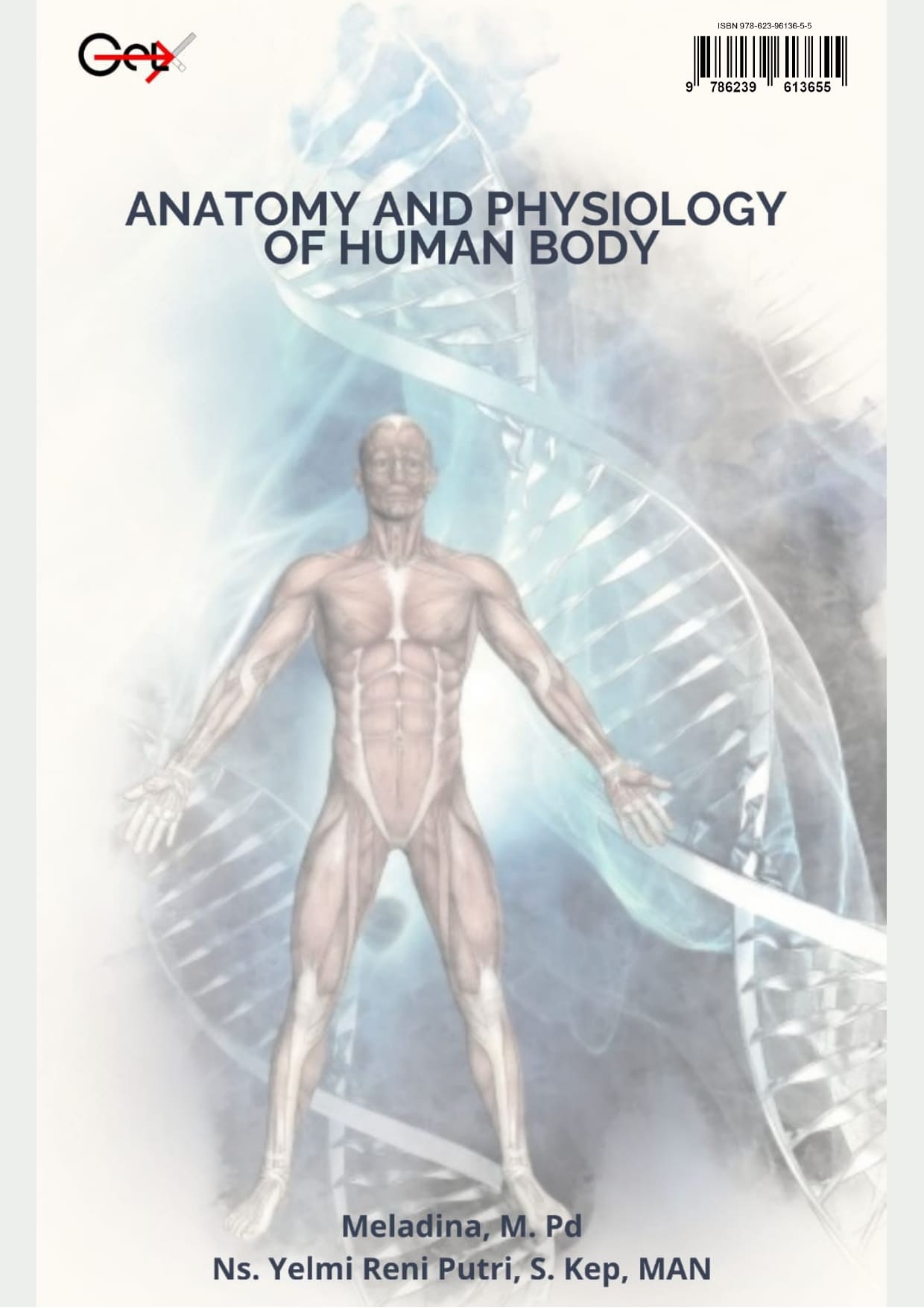 Anatomy And Physiology Of Human Body - Get Press Indonesia